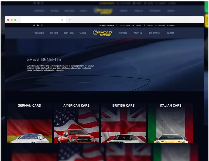 screencapture-db-carcare-2024-12-13-18_33_21-Con